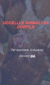 SACILE SAGRA DEI OSEI  ESPOSITORI ANIMALI