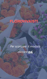 SACILE SAGRA DEI OSEI  ESPOSITORI FIORI E PIANTE