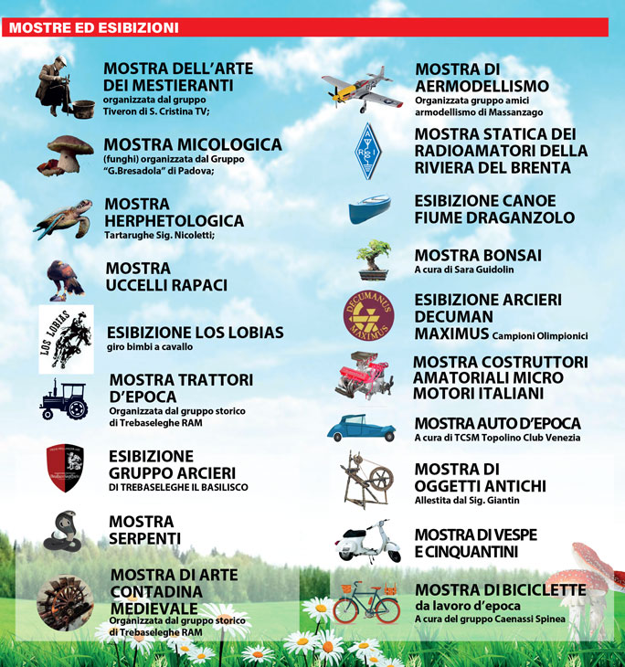 trebaseleghe mostre ed esibizioni