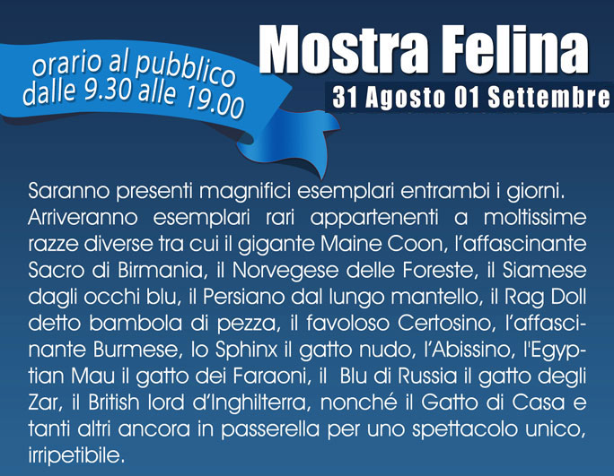 2019 BELLUNO LONGARONE MOSTRA FELINA MOSTRA DI GATTI FASHION CAT SHOW programma