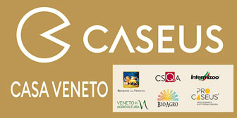 caseus degustazioni casa veneto
