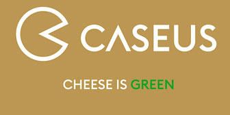 caseus degustazioni specialità cheese is green