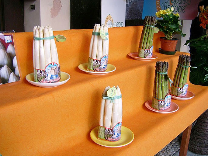 MORGANO BADOERE MOSTRA DELL'ASPARAGO DI BADOERE IGP esposizione asparagi