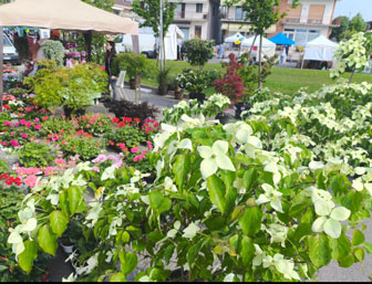 RONCADE SAN CIPRIANO MOSTRA FIORI E PIANTE