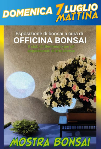 2024 SPRESIANO MOSTRA BONSAI