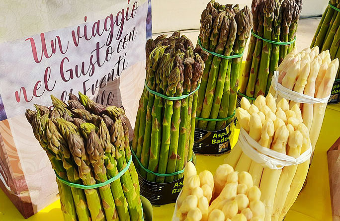 BRANCO MOSTRA ASPARAGO DI BADOERE IGP vendita asparagi