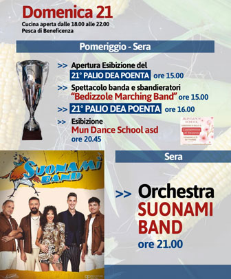 Orchestra SUONAMI BAND 