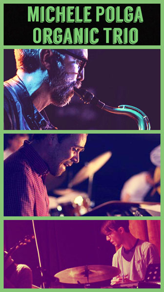 MICHELE POLGA ORGANIC TRIO