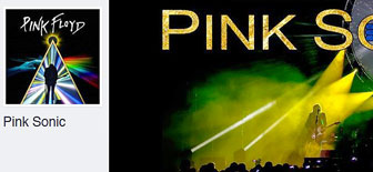 PINK SONIC
