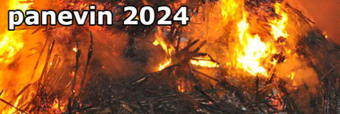 panevin 2024