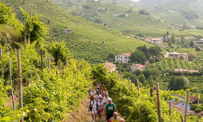 FARRA DI SOLIGO COL SAN MARTINO CORSA DEL PROSECCO MARCIA NON COMPETITIVA camminata sulle colline