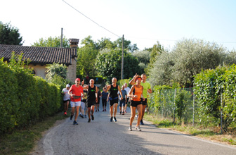 Maser Crespignaga Corsa Podistica Tra Ulivi e Ciliegi Corsa in Collina