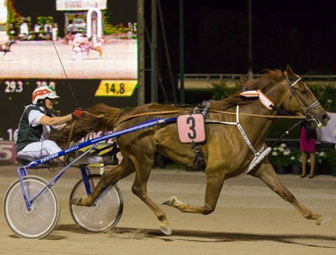 corse-cavalli-al-trotto-treviso-ippodromo.jpg