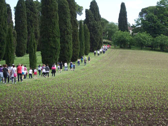 SAN FIOR MARCIA DI PRIMAVERA camminata tra le colline
