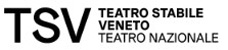 venezia teatro stabile del veneto